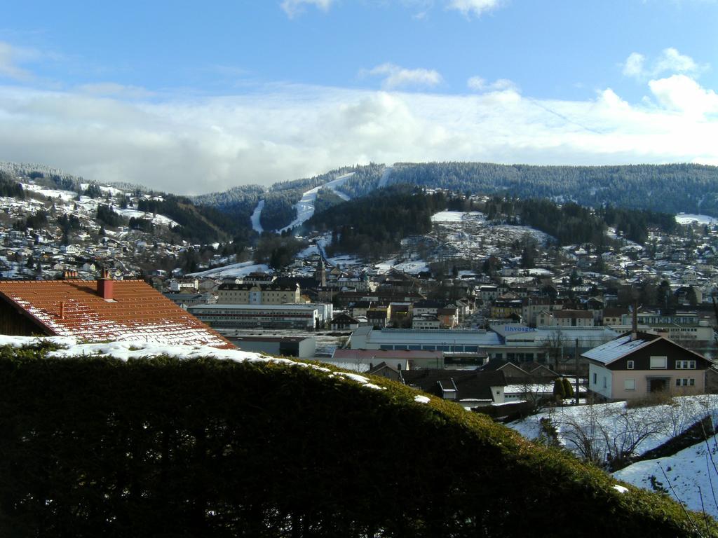 Les 4 Saisons Daire Gérardmer Dış mekan fotoğraf